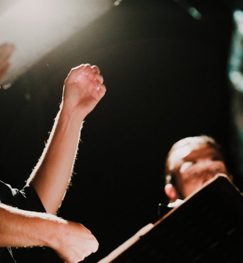 41802808110 1ef7e8bb7e k